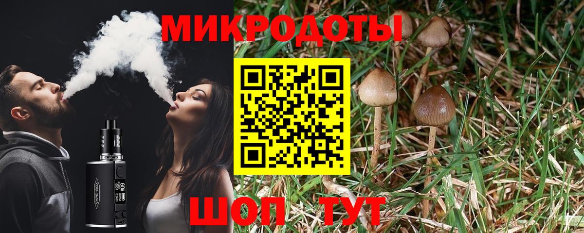 Галлюциногенные грибы прущие грибы  Вход с VPN  Кириши  Галлюциногенные грибы мицелий 